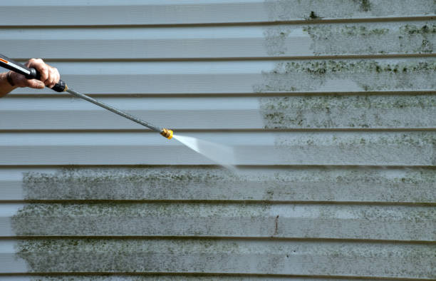 Solar Panel Cleaning in Naples, TX